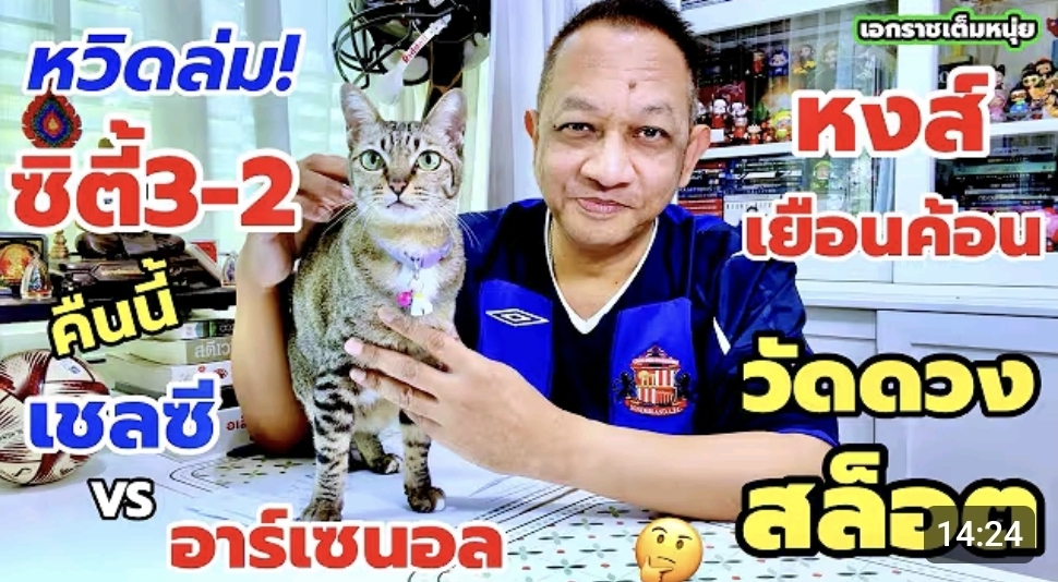 ซิตี้เฉือนยูงทอง/ลุ้นสิงห์ชนปืน/หงส์เยือนค้อน